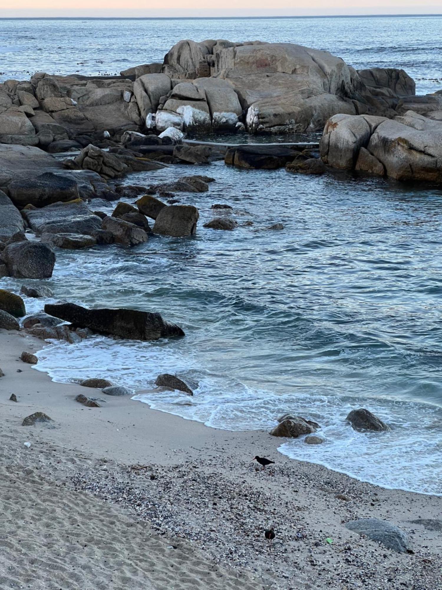 דירות קייפטאון Sea Point Kingsgate No 10 מראה חיצוני תמונה